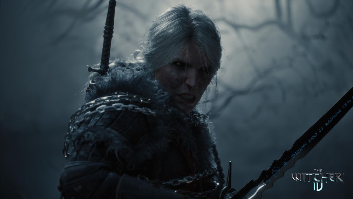 Image du jeu The Witcher 4