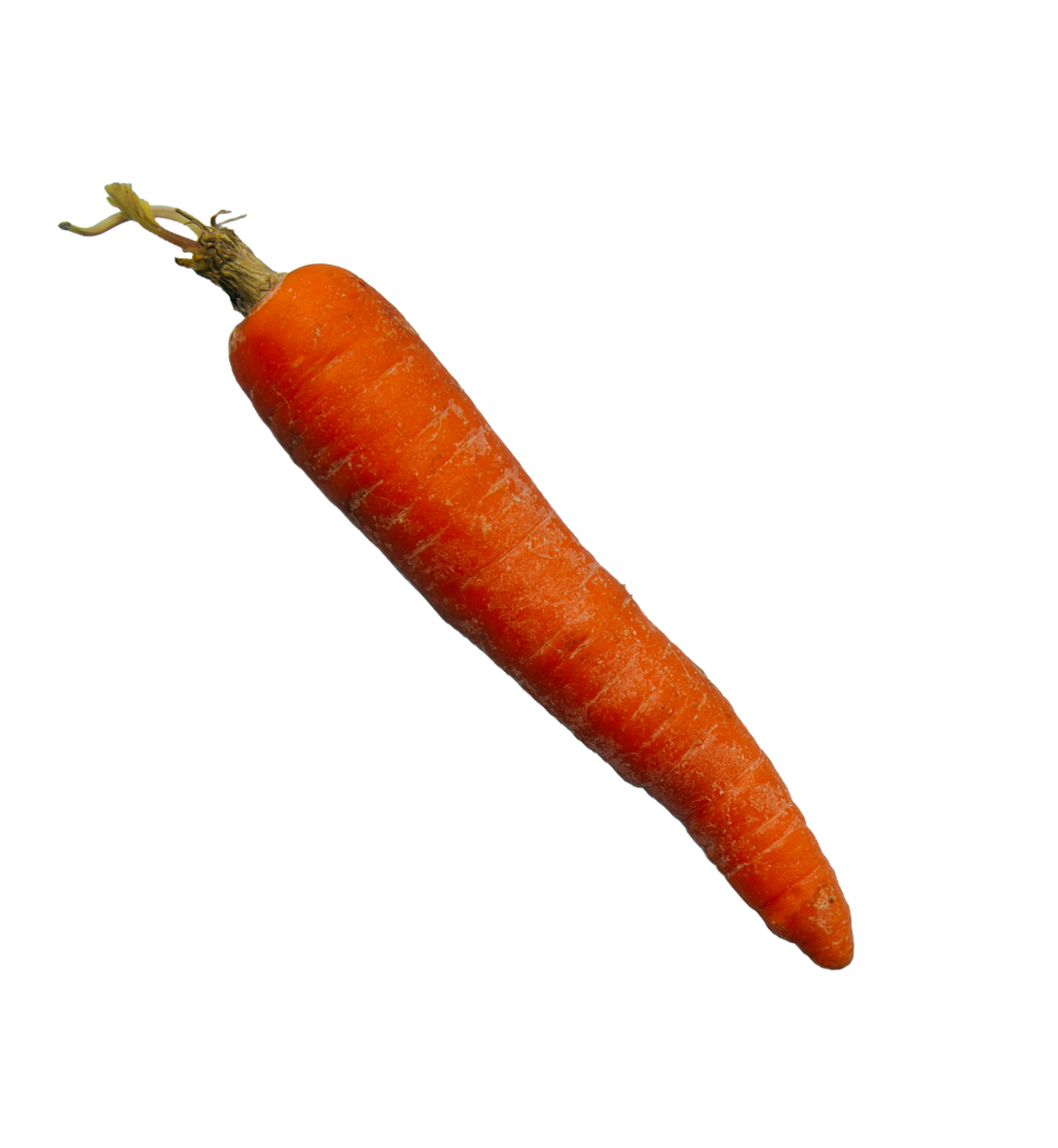 carotte