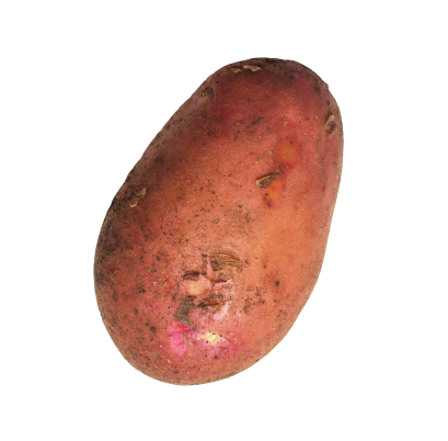 patate